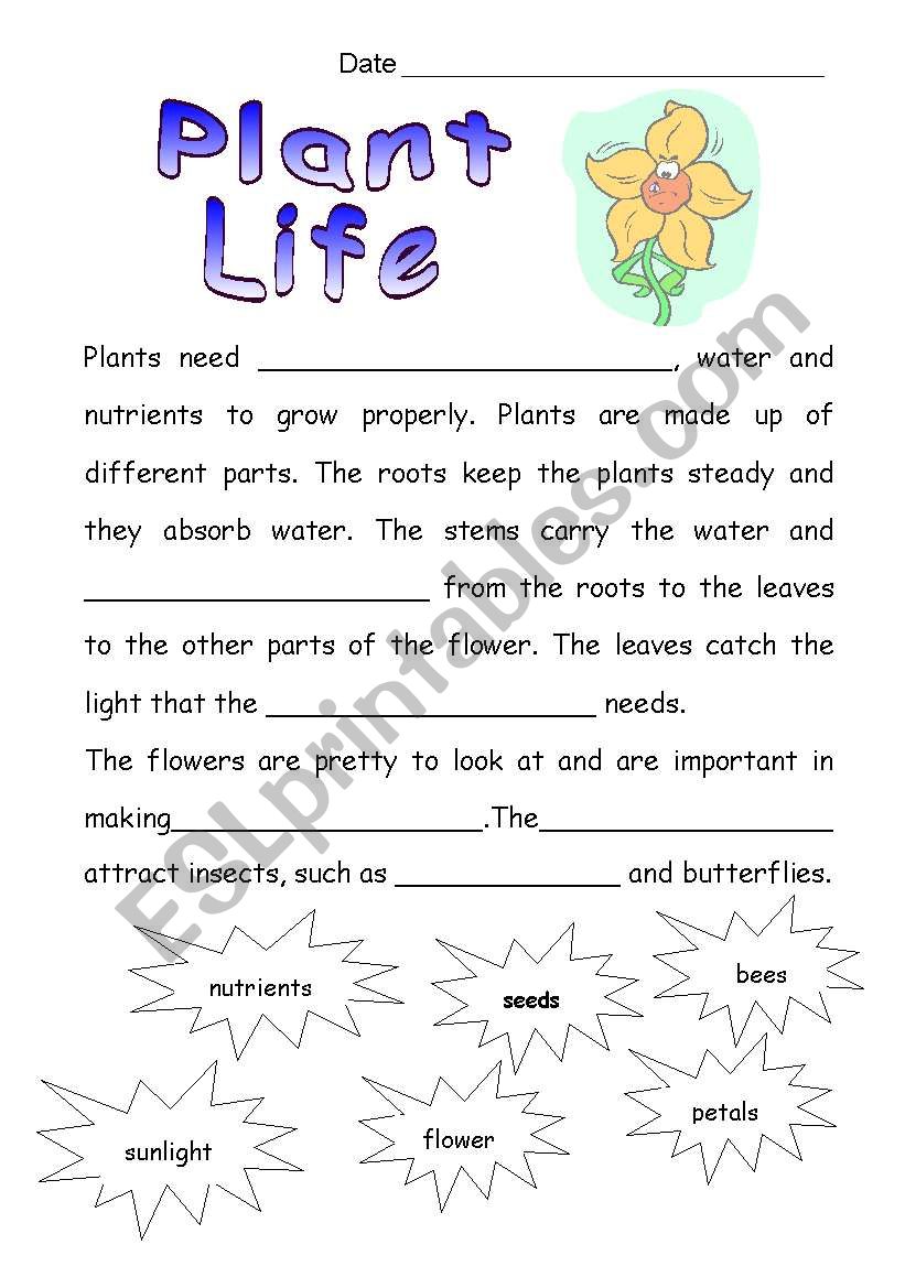 Plant Life  worksheet
