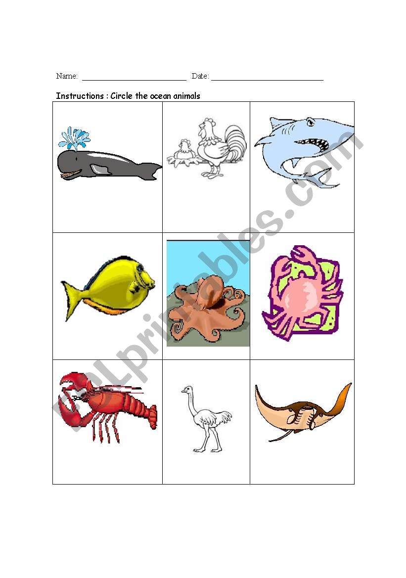 The ocean animals worksheet