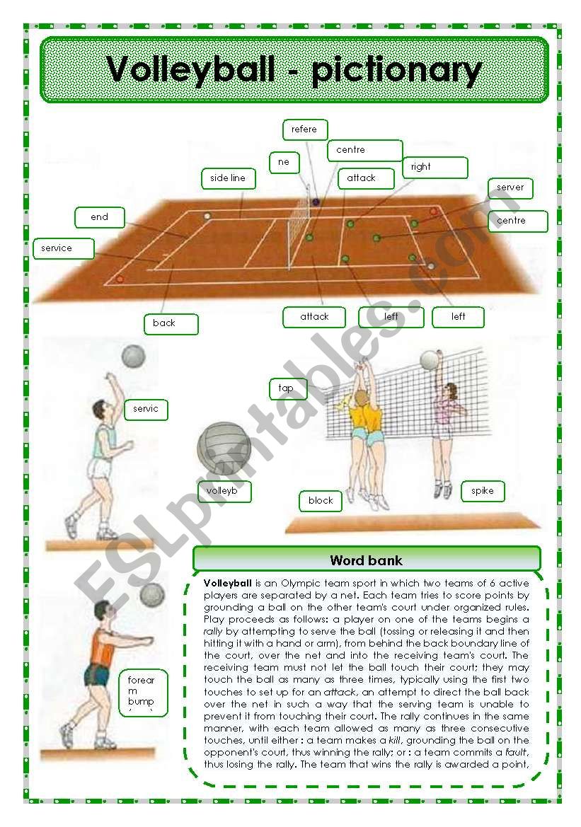 Volleyball - pictionary worksheet