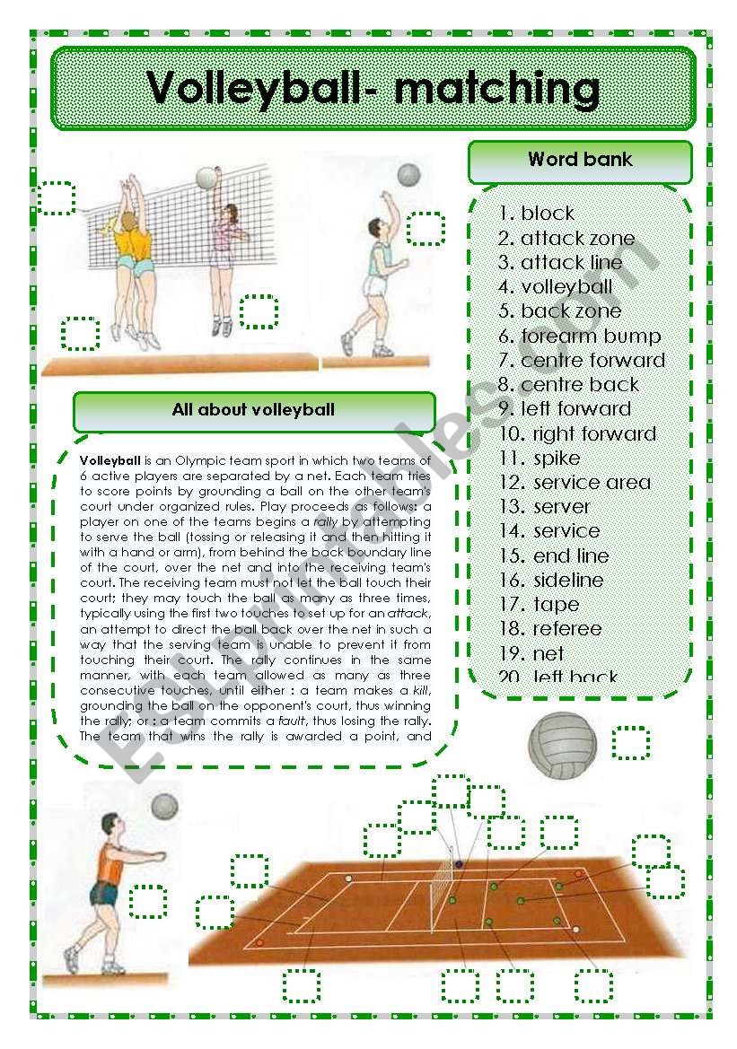 Volleyball - matching exercise