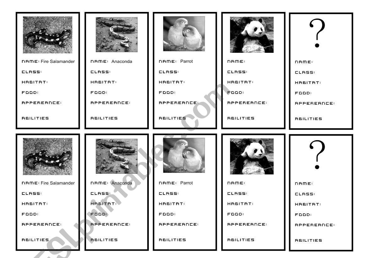 animals information worksheet
