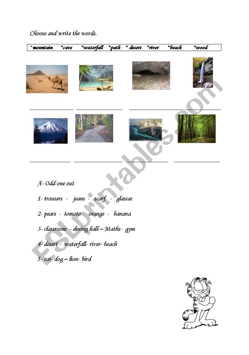 weekend workshhet worksheet