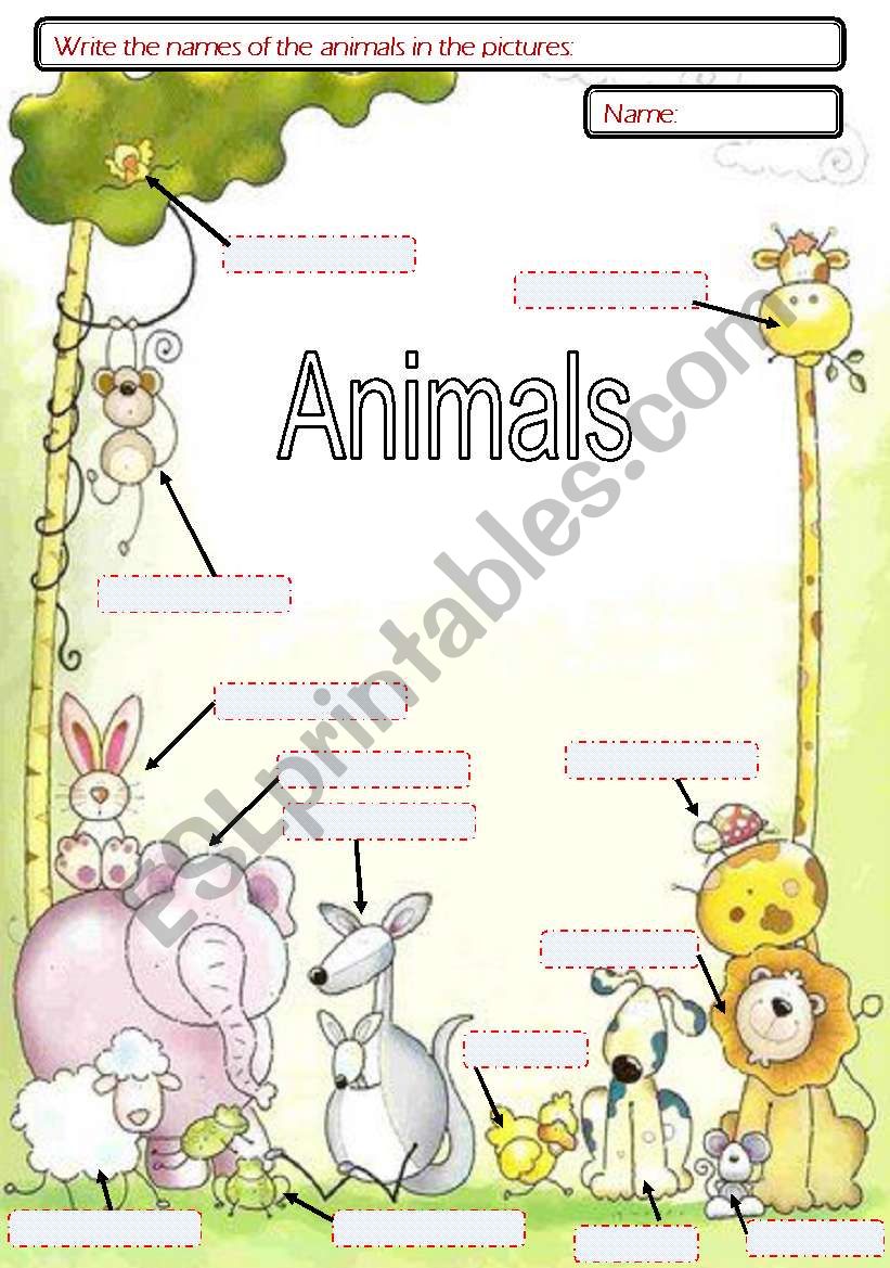 Animals, zoo worksheet