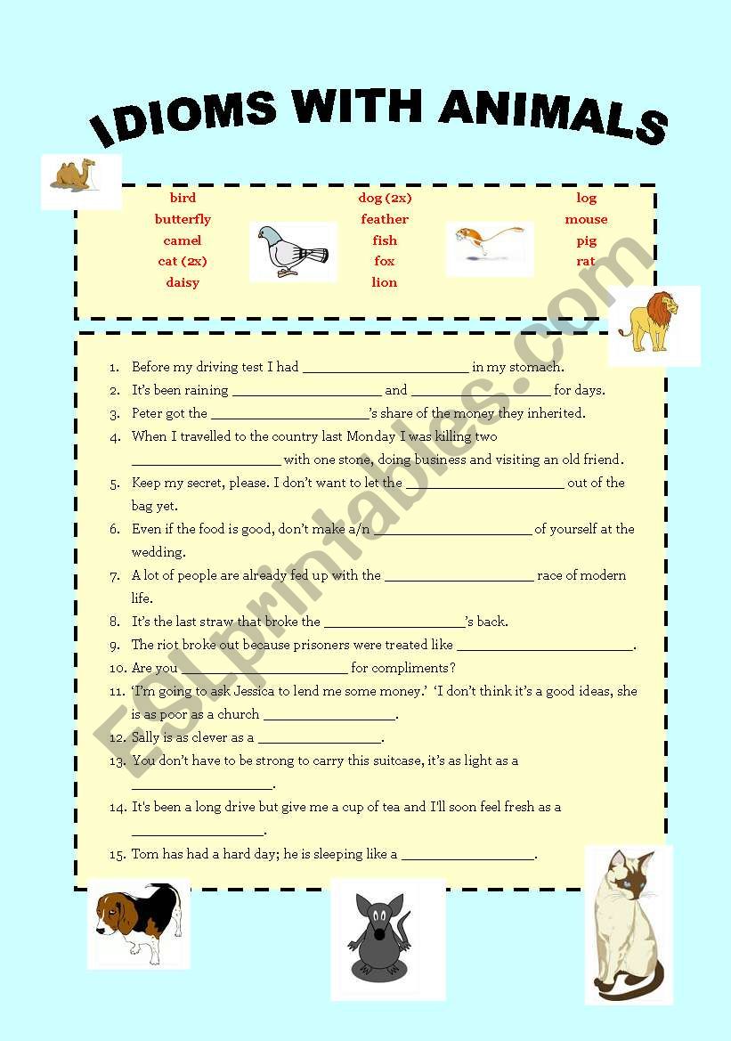 Idioms with animals worksheet