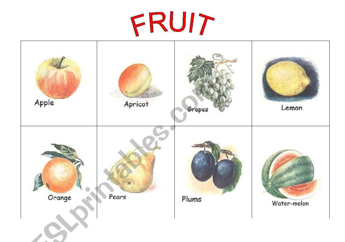 Fruit worksheet