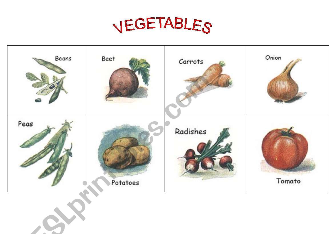 Vegetables worksheet