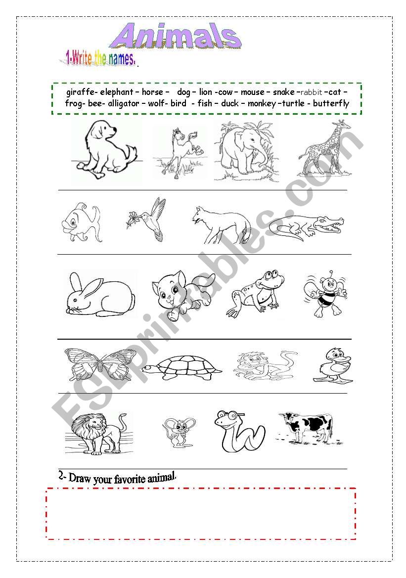 Animals worksheet