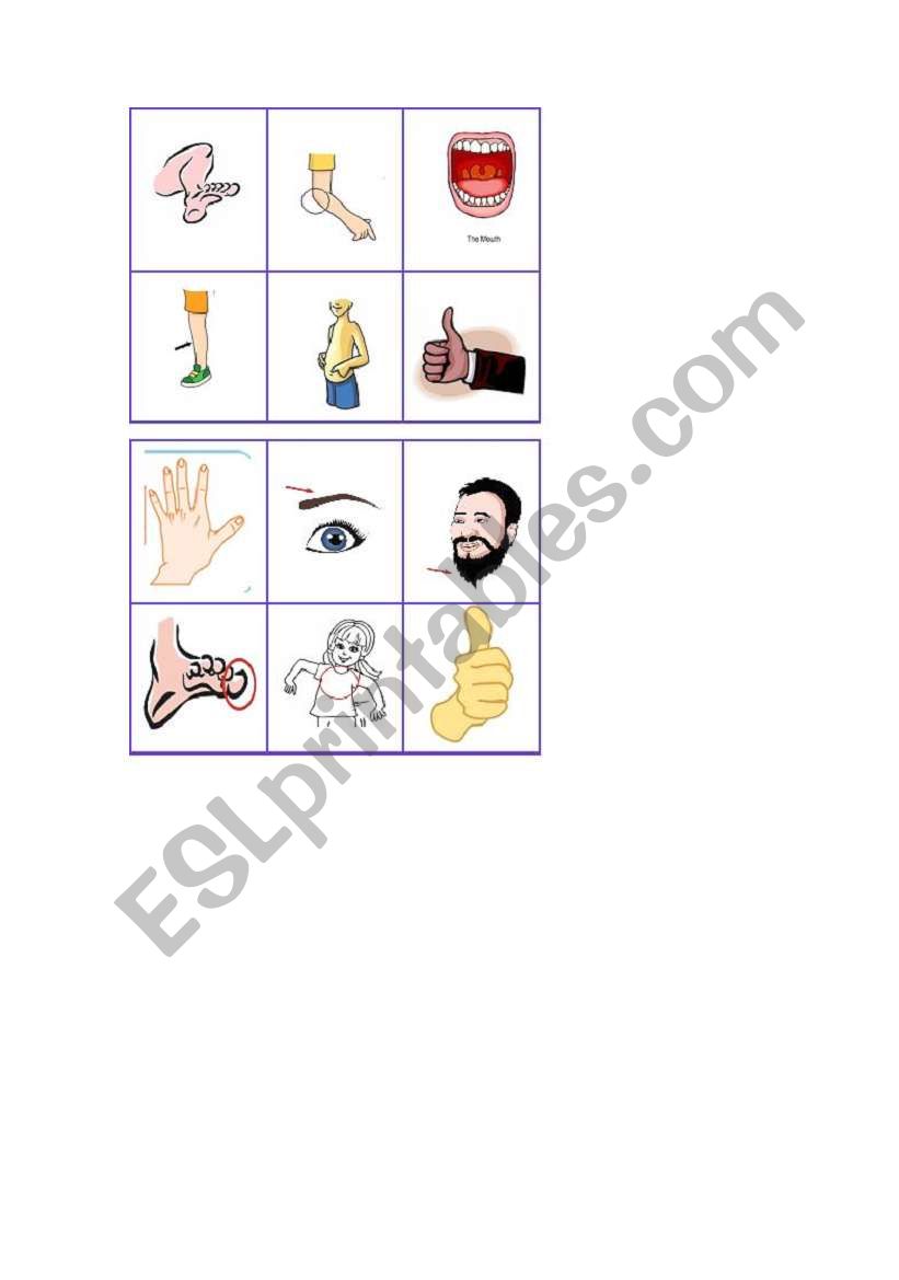 Bingo parts of the body worksheet