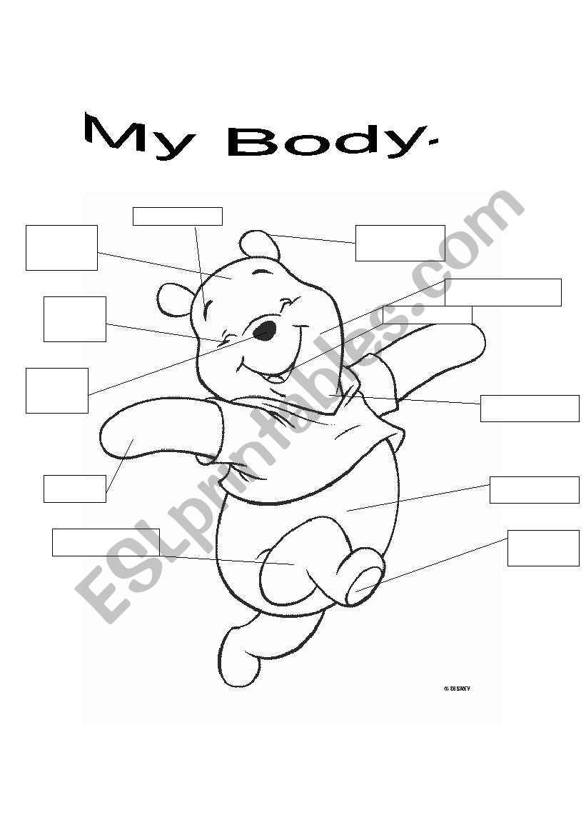 My body worksheet