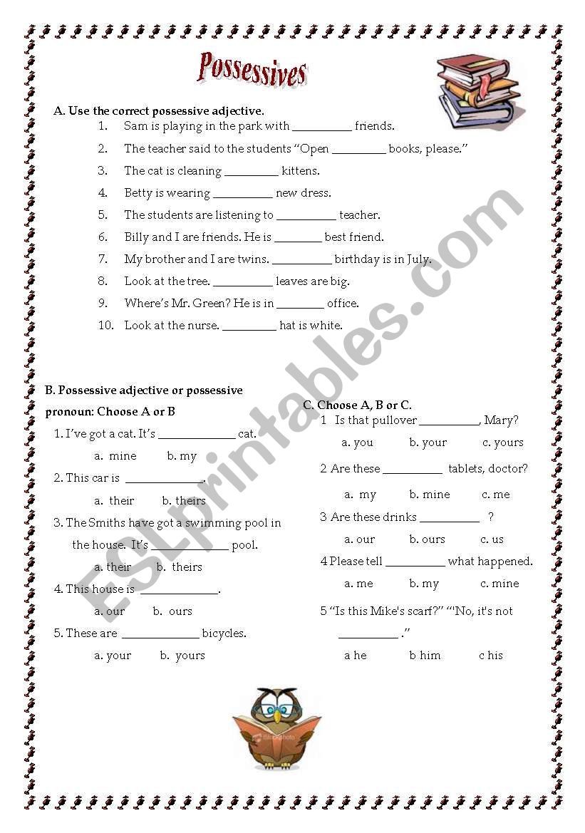 Introduction to possessives worksheet