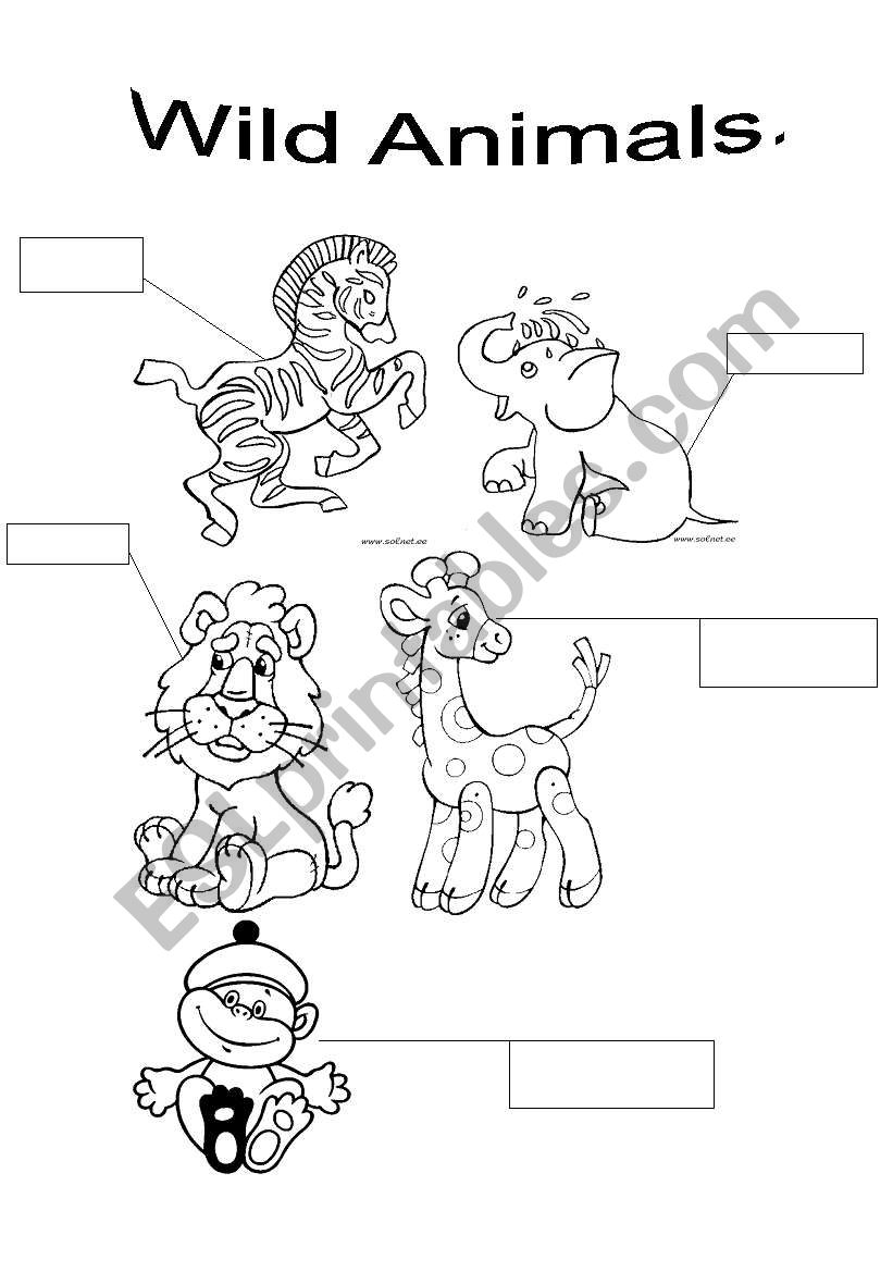 Wild Animals! worksheet