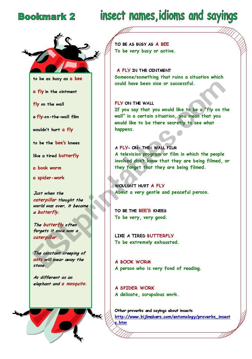 INSECT BOOKMARK worksheet