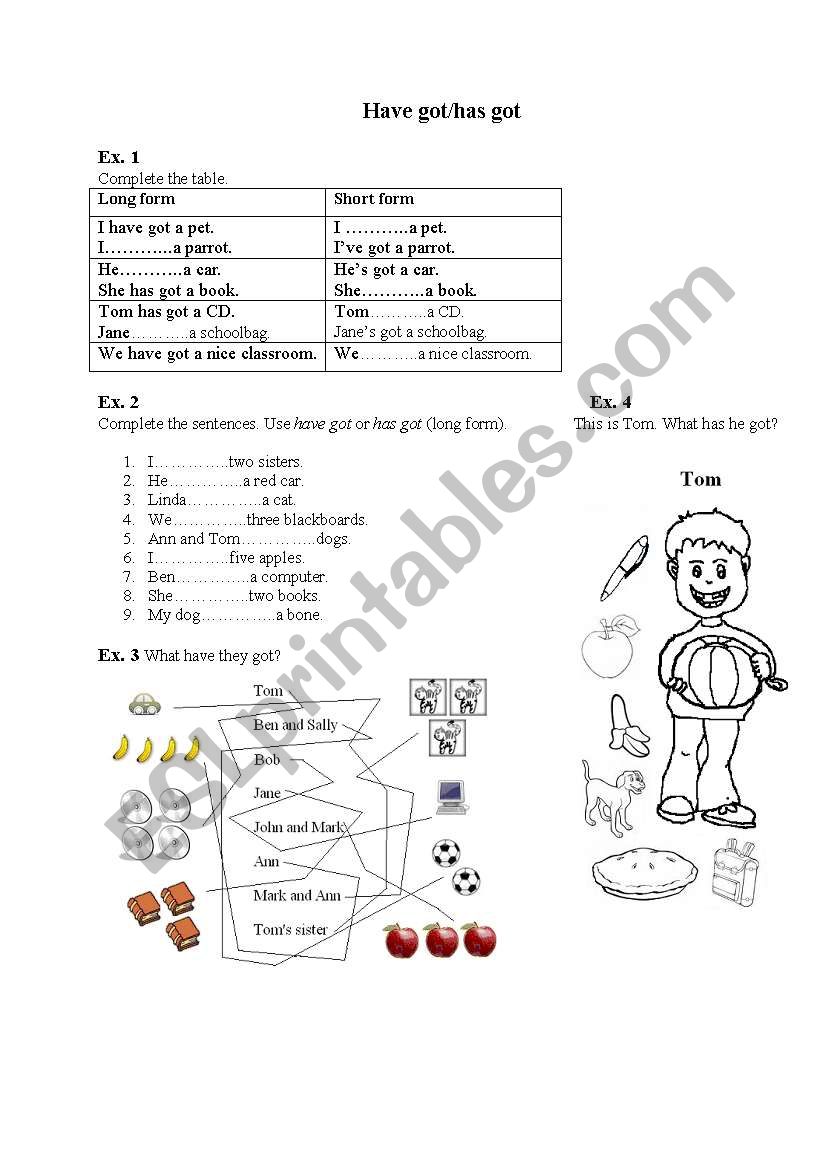 have got - practice worksheet