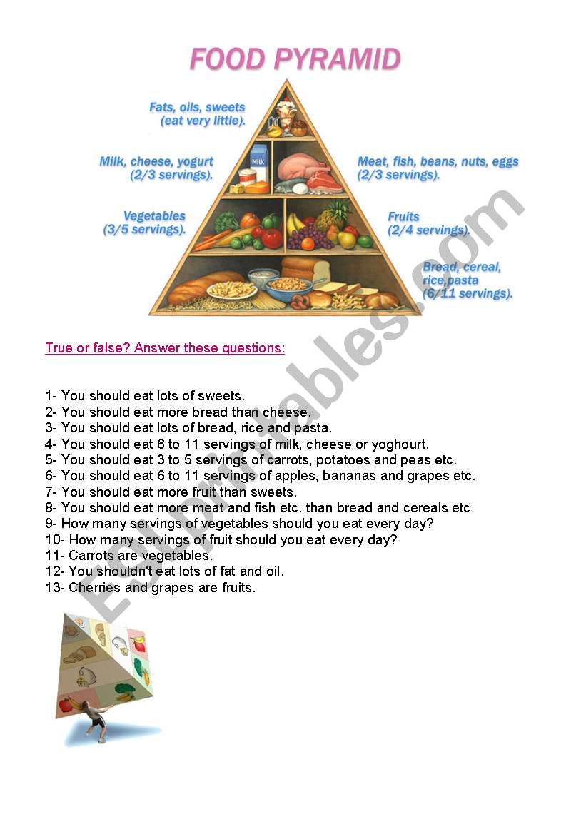 food pyramid worksheet