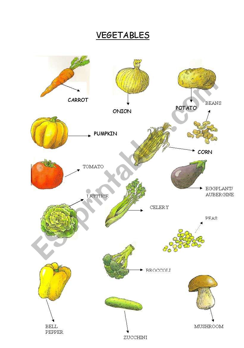 VEGETABLES worksheet