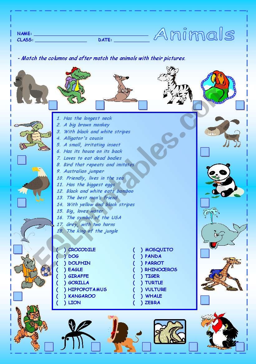 Animals worksheet