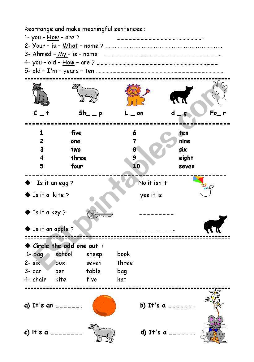 simple exercises  worksheet