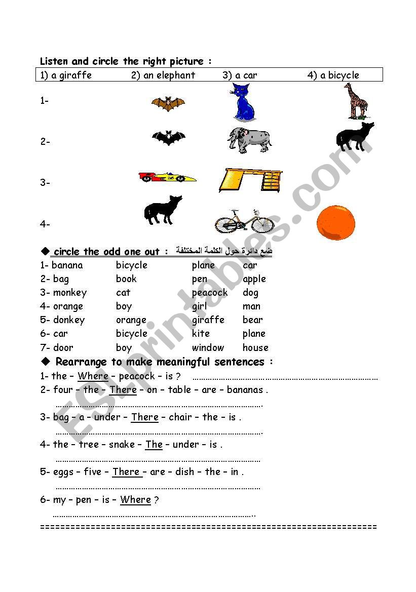 simple exercises  worksheet