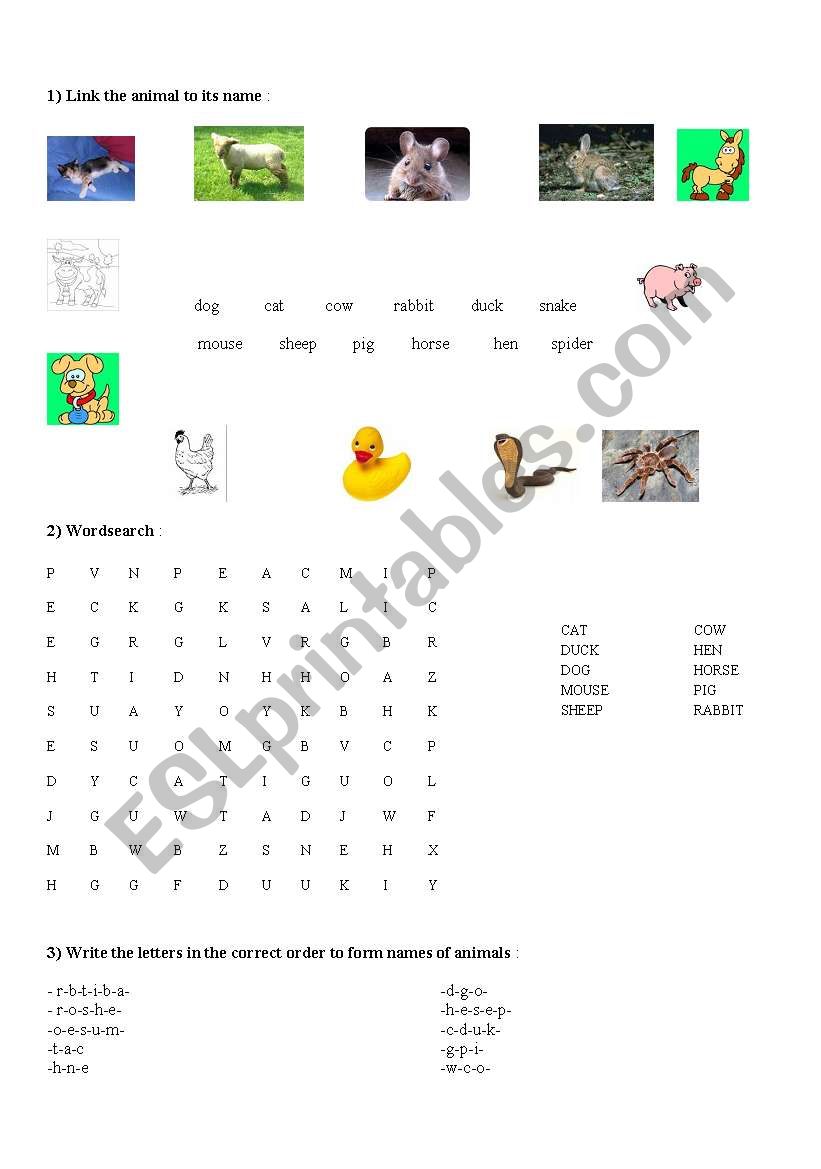 animals worksheet