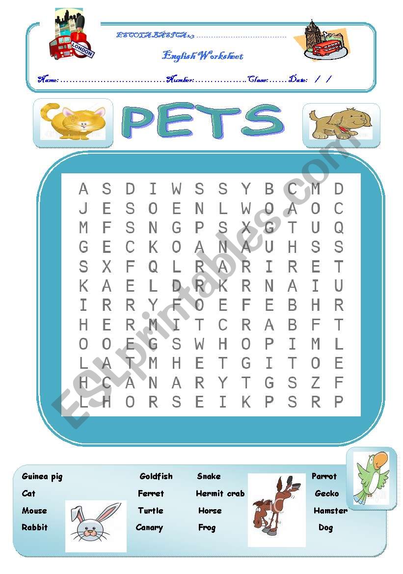 Pets worksheet