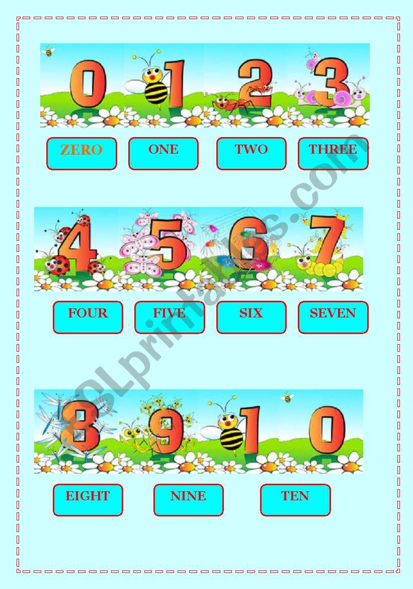 NUMBERS worksheet