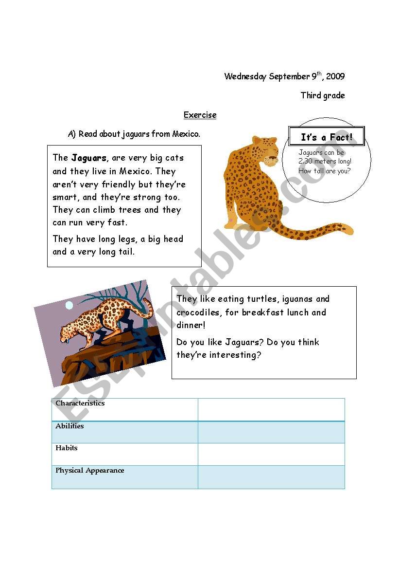 Jaguar worksheet