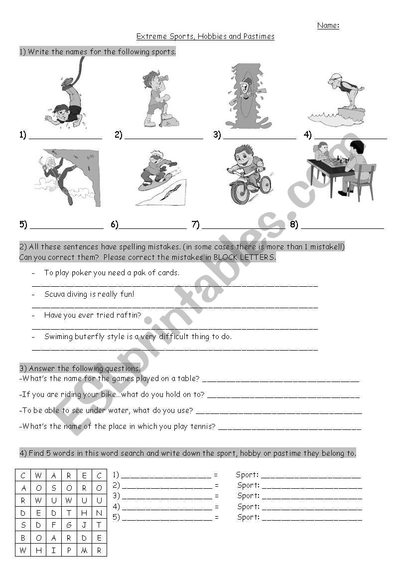 pastimes and hobbies worksheet