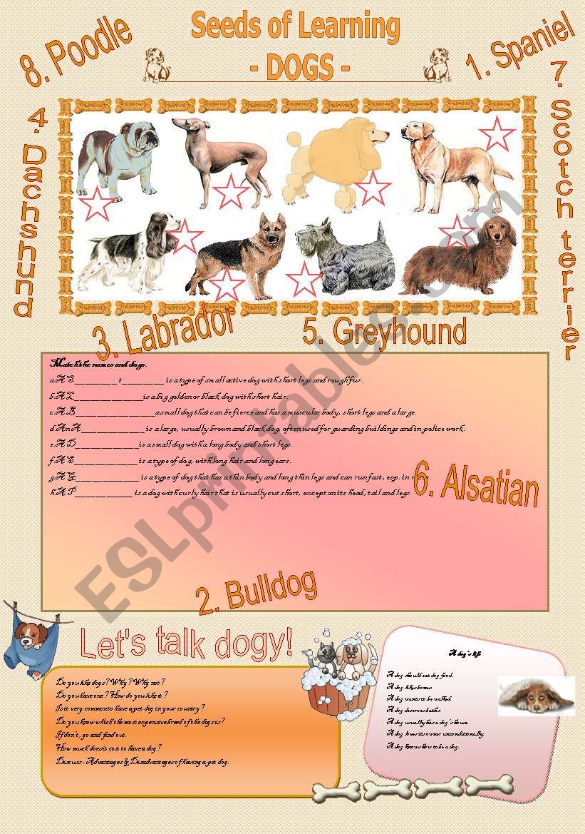 SEEDS OF LEARNING - Dogs - worksheet