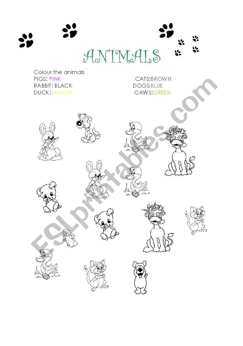 Animals and colours worksheet