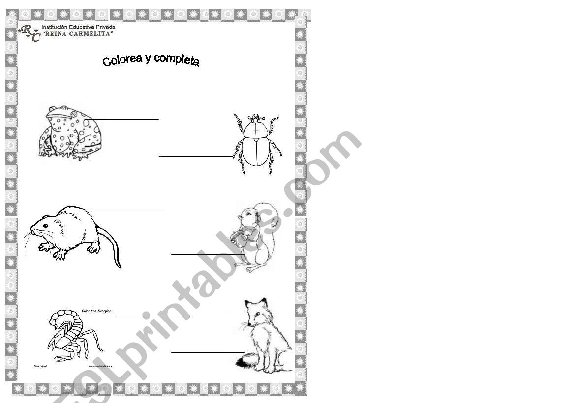 animals worksheet