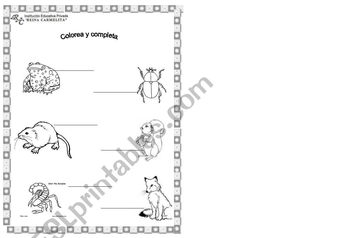 animals worksheet