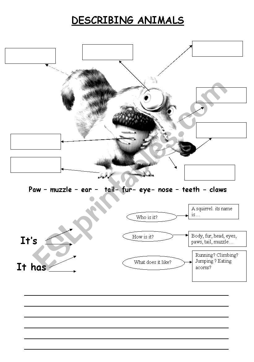 describing animals worksheet