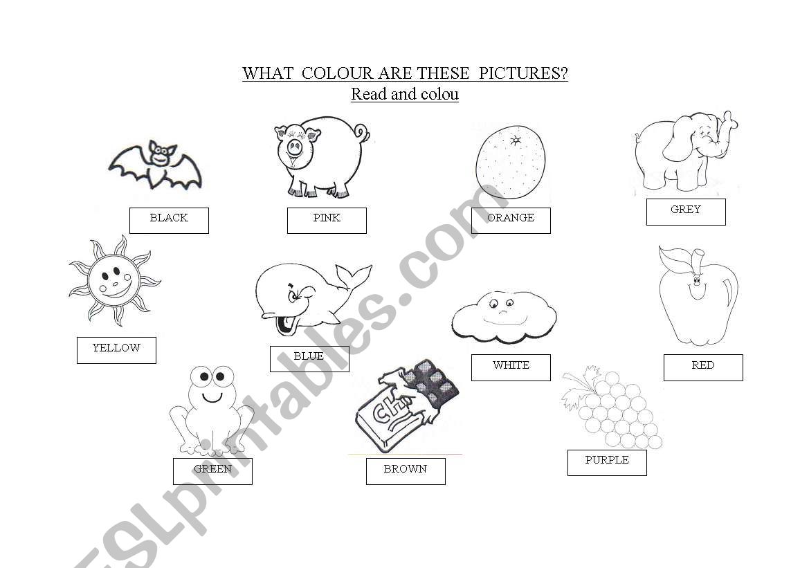 read and colour worksheet