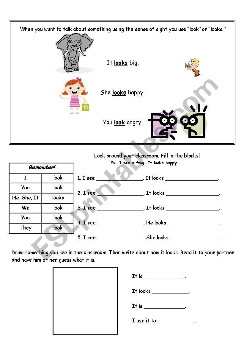 Using the Sense of Sight  worksheet