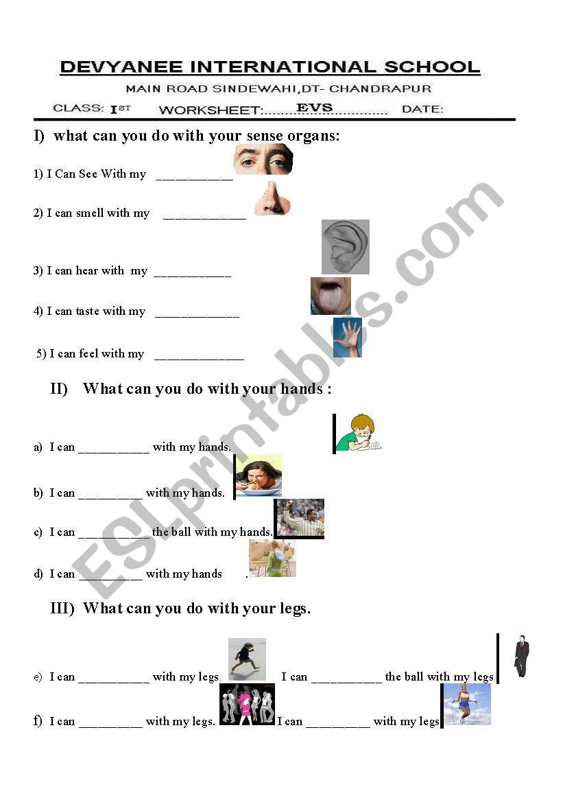 science worksheet