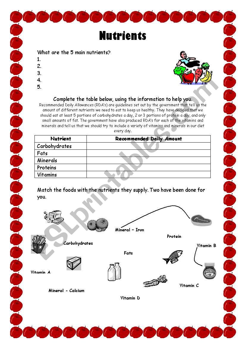 Nutrients Worksheet worksheet