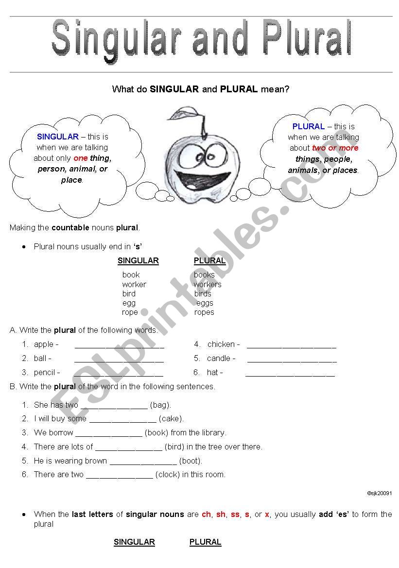 Singular and Plural worksheet