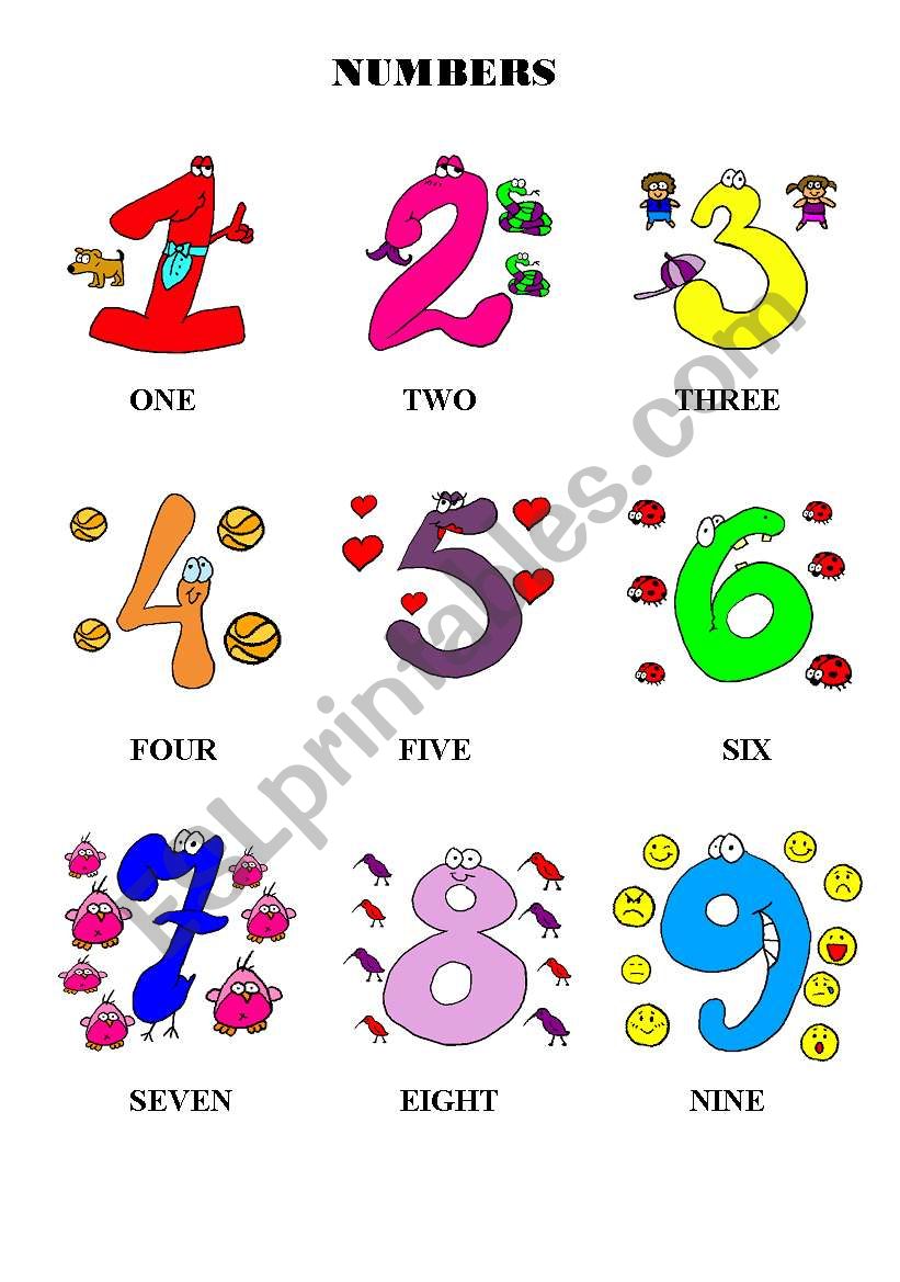 NUMBERS worksheet