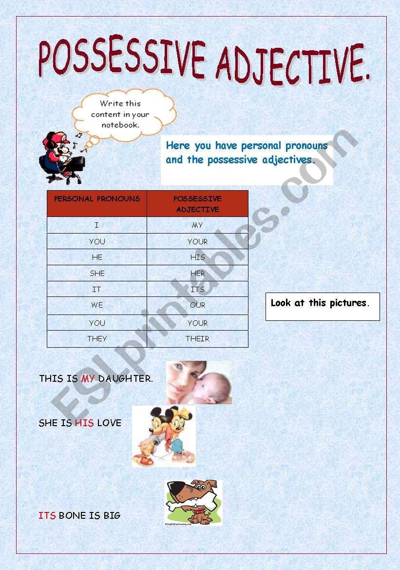 possessive adjective worksheet