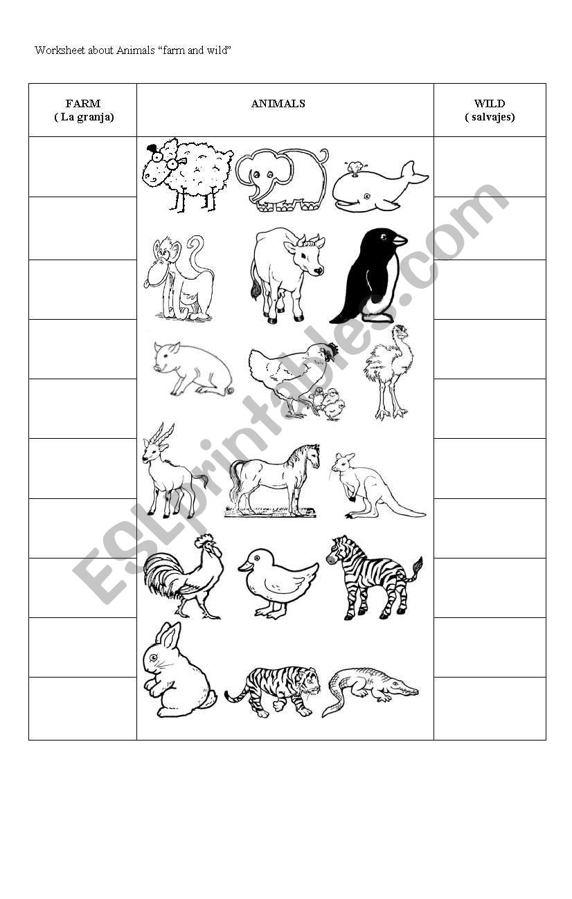  animals worksheet