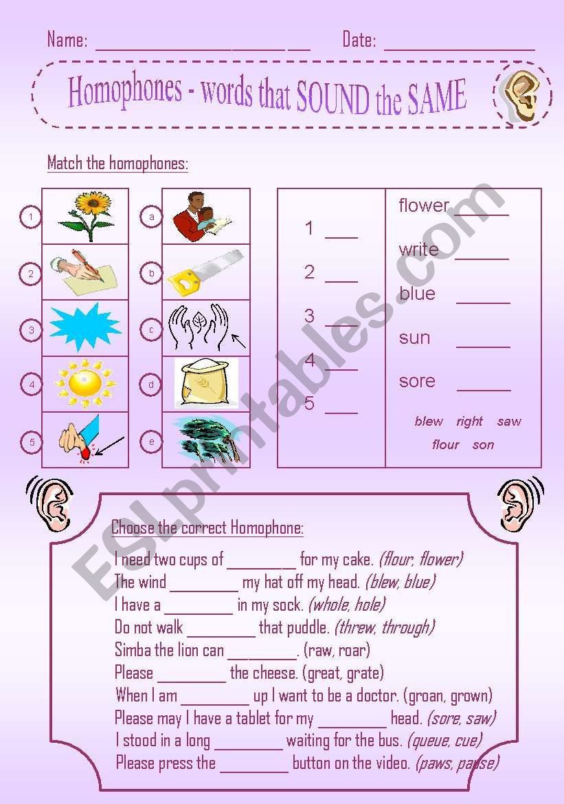 Homophones worksheet