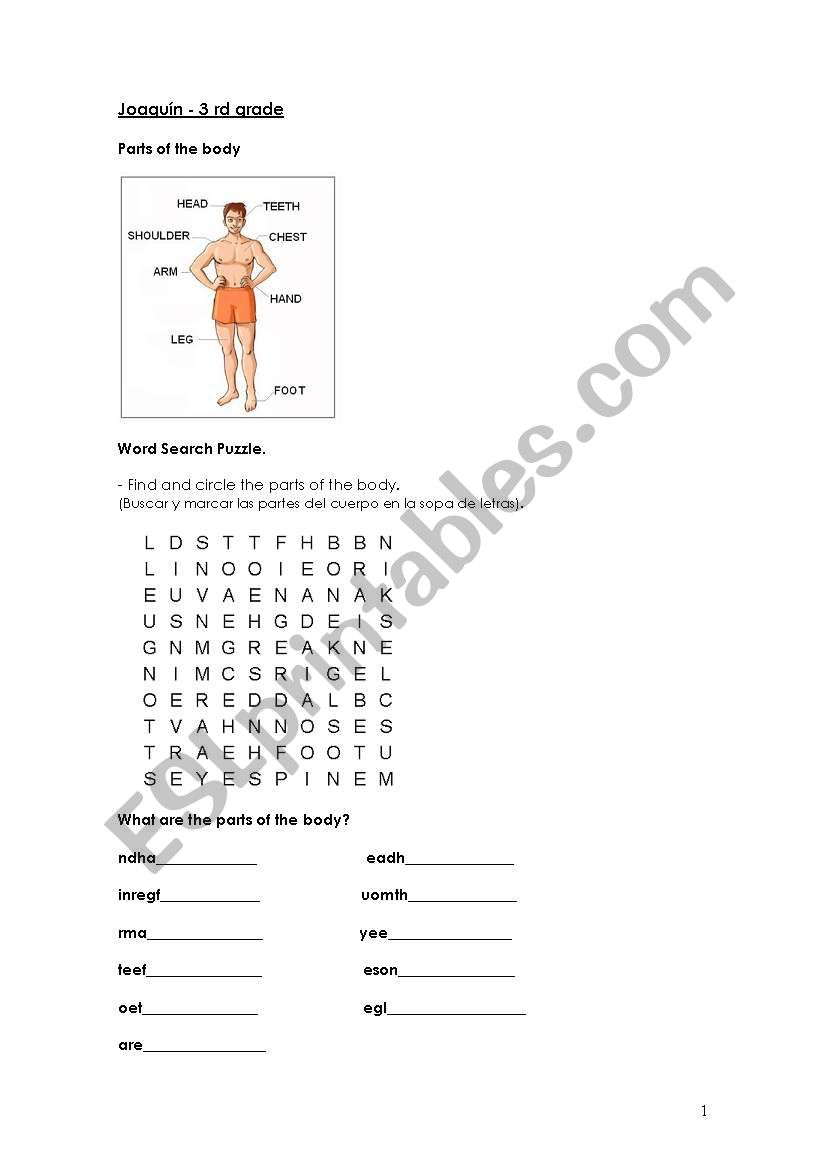 Parts of the body worksheet