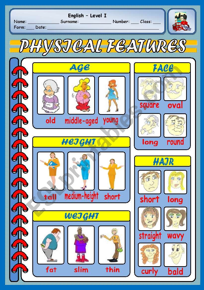 PHYSICAL FEATURES worksheet