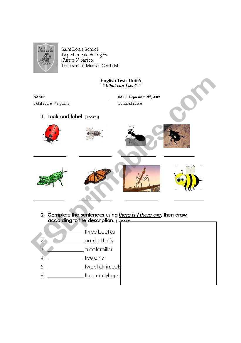 Insects, (test) worksheet