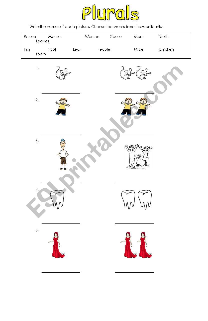 Irregular Plurals worksheet