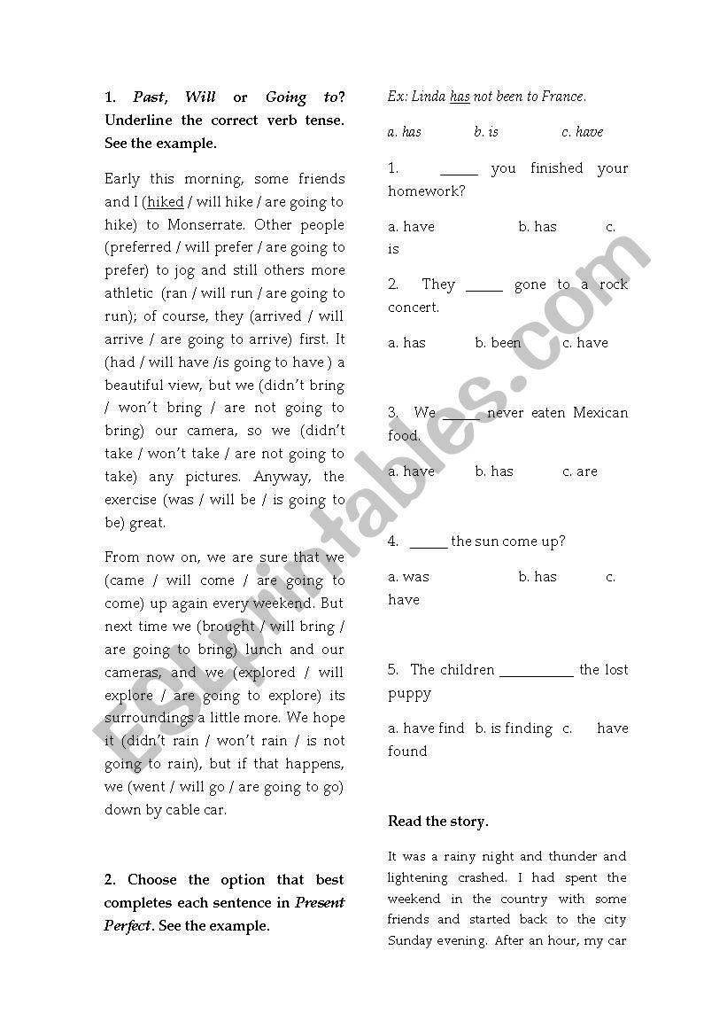 Past / Future Tense test worksheet