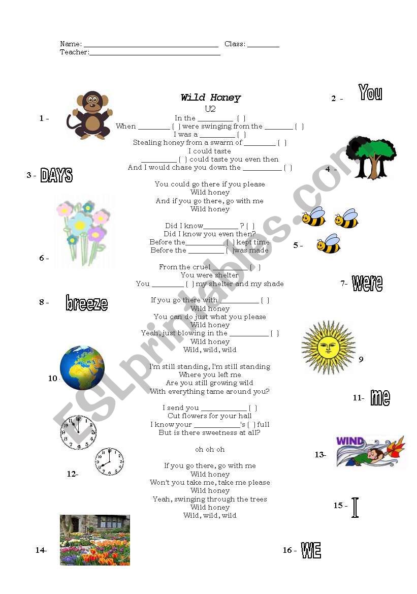 Wild Honey - U2 worksheet