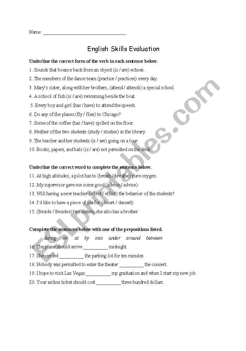 English Skills Evaluation worksheet