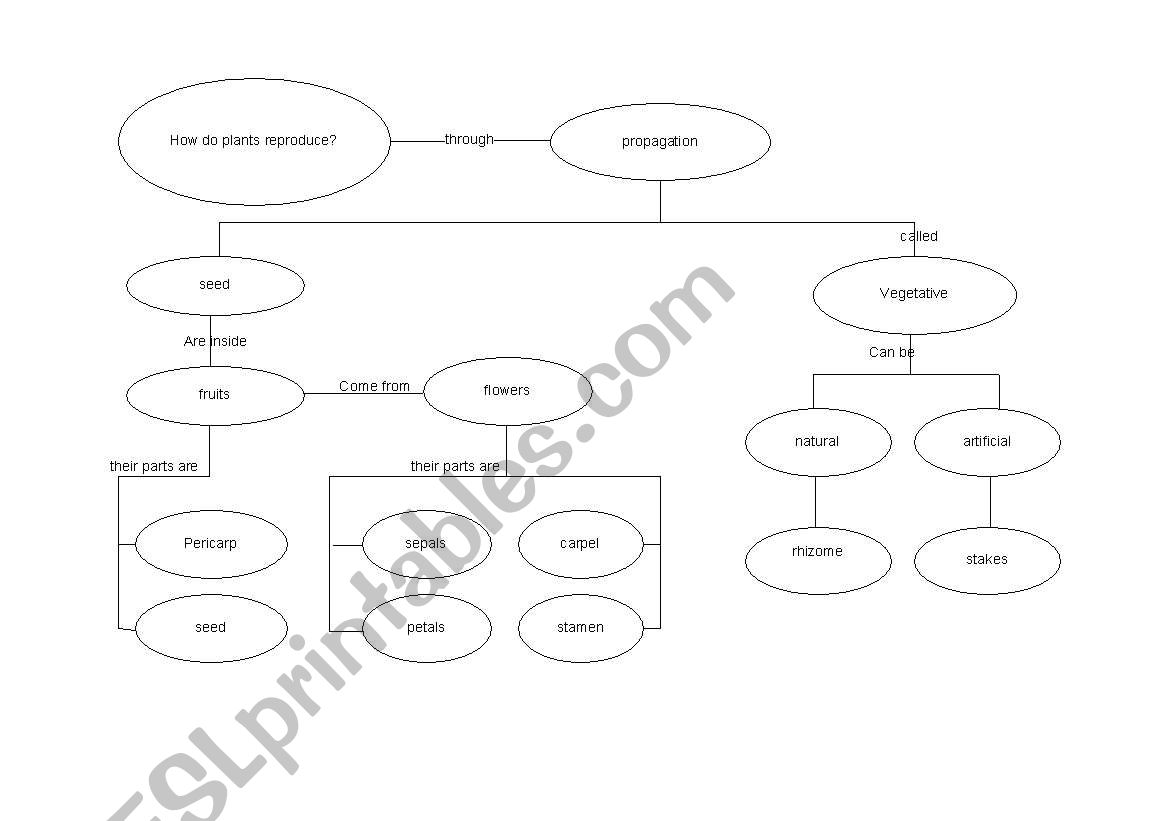 Reproduction Chart