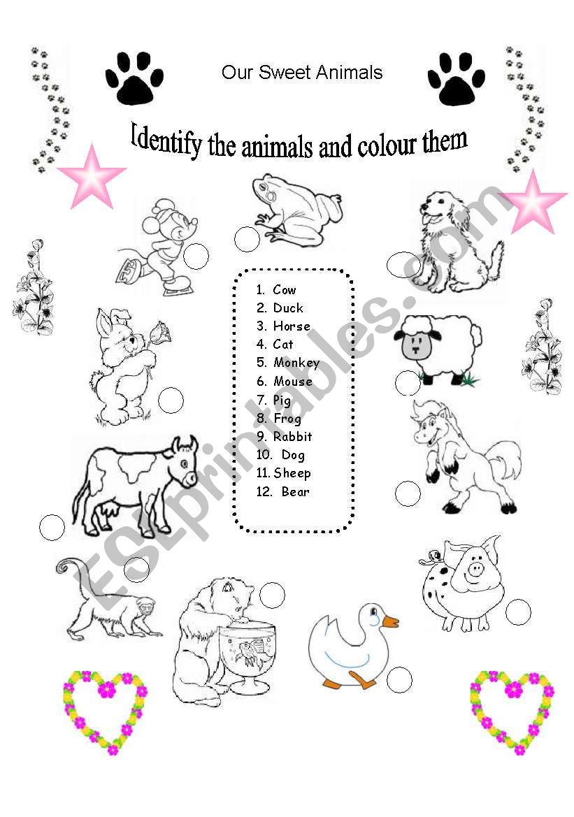 Match and Colour the Animals worksheet